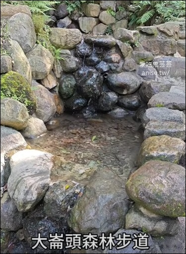 台北小溪頭 | 大崙頭山森林步道、大崙頭尾山親山步道、乘風堡觀景台 台北小溪頭 | 大崙頭山森林步道、大崙頭尾山親山步道、乘風堡觀景台