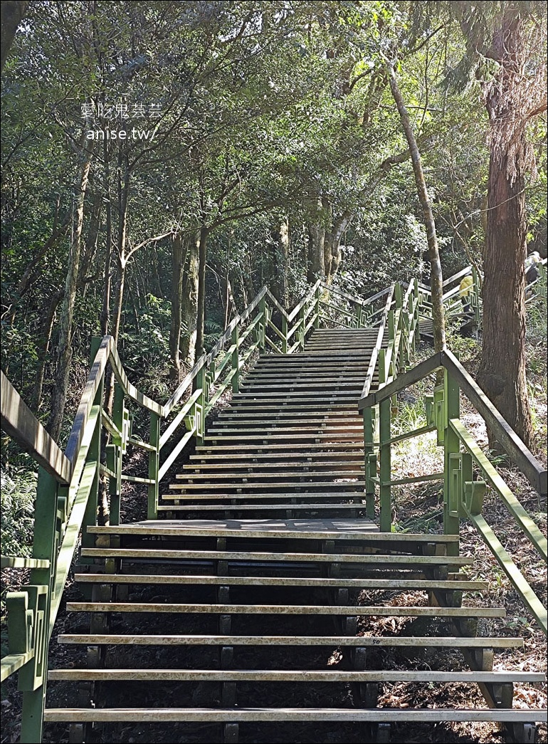 台北小溪頭 | 大崙頭山森林步道、大崙頭尾山親山步道、乘風堡觀景台 台北小溪頭 | 大崙頭山森林步道、大崙頭尾山親山步道、乘風堡觀景台