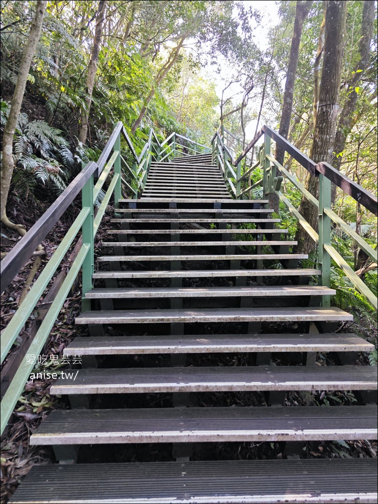 台北小溪頭 | 大崙頭山森林步道、大崙頭尾山親山步道、乘風堡觀景台 台北小溪頭 | 大崙頭山森林步道、大崙頭尾山親山步道、乘風堡觀景台
