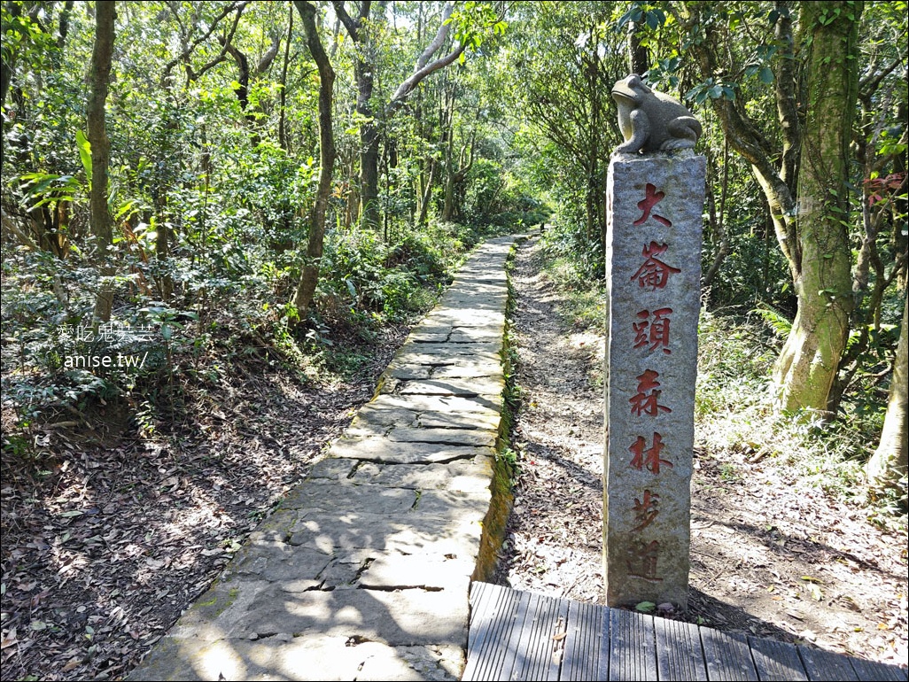 台北小溪頭 | 大崙頭山森林步道、大崙頭尾山親山步道、乘風堡觀景台 台北小溪頭 | 大崙頭山森林步道、大崙頭尾山親山步道、乘風堡觀景台