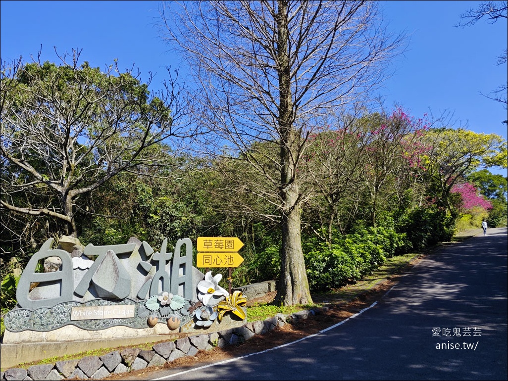 台北小溪頭 | 大崙頭山森林步道、大崙頭尾山親山步道、乘風堡觀景台 台北小溪頭 | 大崙頭山森林步道、大崙頭尾山親山步道、乘風堡觀景台