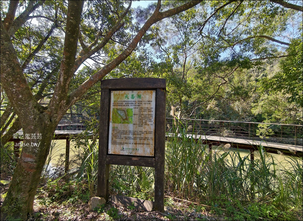 台北小溪頭 | 大崙頭山森林步道、大崙頭尾山親山步道、乘風堡觀景台 台北小溪頭 | 大崙頭山森林步道、大崙頭尾山親山步道、乘風堡觀景台