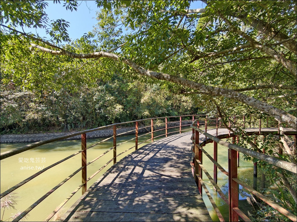 台北小溪頭 | 大崙頭山森林步道、大崙頭尾山親山步道、乘風堡觀景台 台北小溪頭 | 大崙頭山森林步道、大崙頭尾山親山步道、乘風堡觀景台