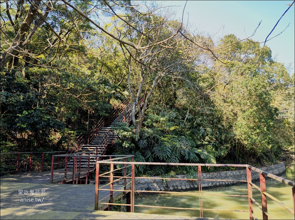 台北小溪頭 | 大崙頭山森林步道、大崙頭尾山親山步道、乘風堡觀景台 台北小溪頭 | 大崙頭山森林步道、大崙頭尾山親山步道、乘風堡觀景台