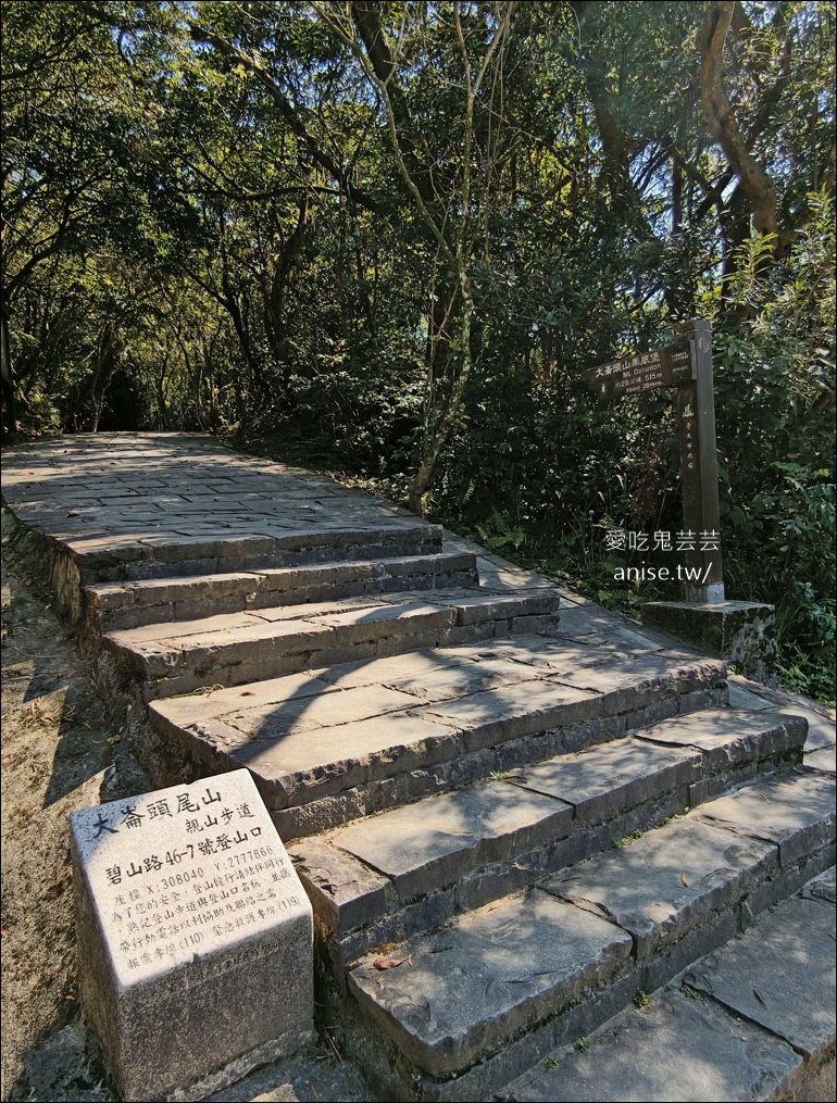 台北小溪頭 | 大崙頭山森林步道、大崙頭尾山親山步道、乘風堡觀景台 台北小溪頭 | 大崙頭山森林步道、大崙頭尾山親山步道、乘風堡觀景台