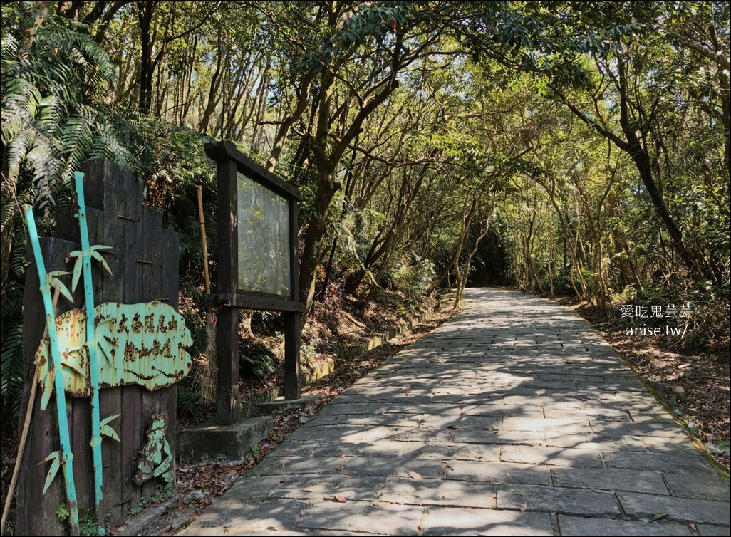 台北小溪頭 | 大崙頭山森林步道、大崙頭尾山親山步道、乘風堡觀景台 台北小溪頭 | 大崙頭山森林步道、大崙頭尾山親山步道、乘風堡觀景台
