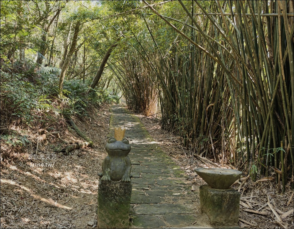 台北小溪頭 | 大崙頭山森林步道、大崙頭尾山親山步道、乘風堡觀景台 台北小溪頭 | 大崙頭山森林步道、大崙頭尾山親山步道、乘風堡觀景台