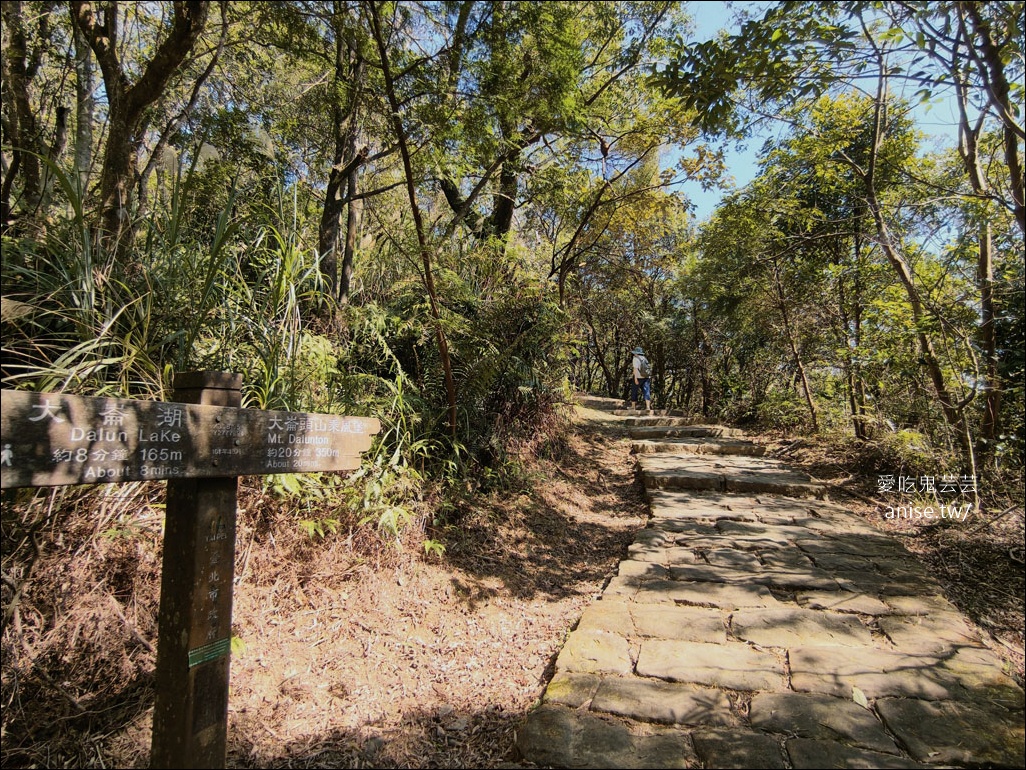 台北小溪頭 | 大崙頭山森林步道、大崙頭尾山親山步道、乘風堡觀景台 台北小溪頭 | 大崙頭山森林步道、大崙頭尾山親山步道、乘風堡觀景台