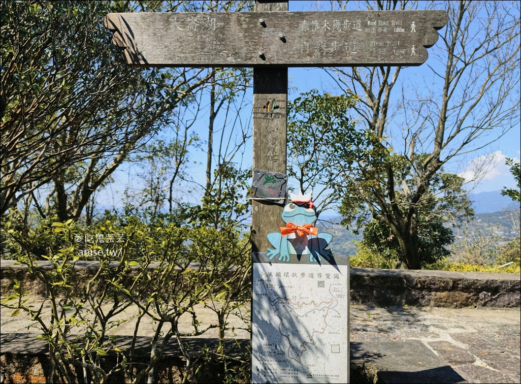 台北小溪頭 | 大崙頭山森林步道、大崙頭尾山親山步道、乘風堡觀景台