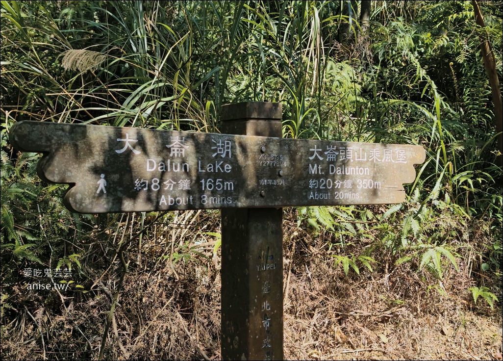台北小溪頭 | 大崙頭山森林步道、大崙頭尾山親山步道、乘風堡觀景台 台北小溪頭 | 大崙頭山森林步道、大崙頭尾山親山步道、乘風堡觀景台