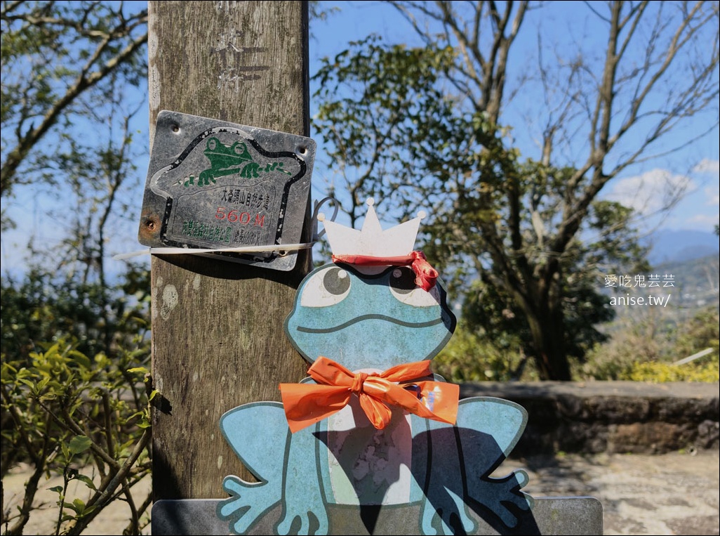 台北小溪頭 | 大崙頭山森林步道、大崙頭尾山親山步道、乘風堡觀景台 台北小溪頭 | 大崙頭山森林步道、大崙頭尾山親山步道、乘風堡觀景台