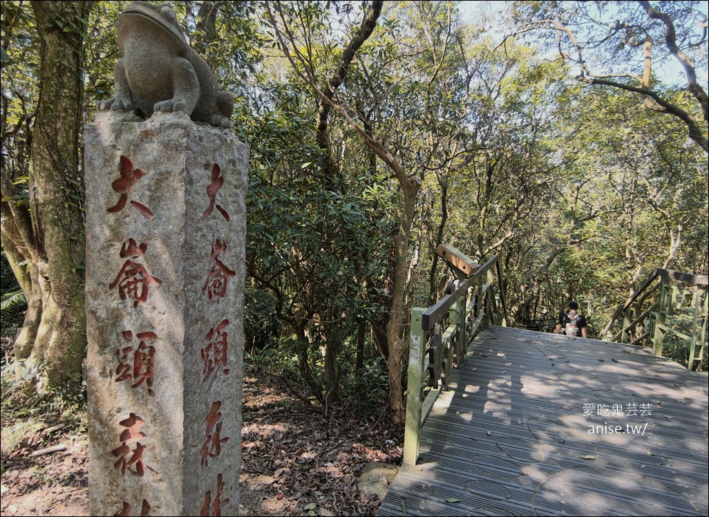 台北小溪頭 | 大崙頭山森林步道、大崙頭尾山親山步道、乘風堡觀景台 台北小溪頭 | 大崙頭山森林步道、大崙頭尾山親山步道、乘風堡觀景台