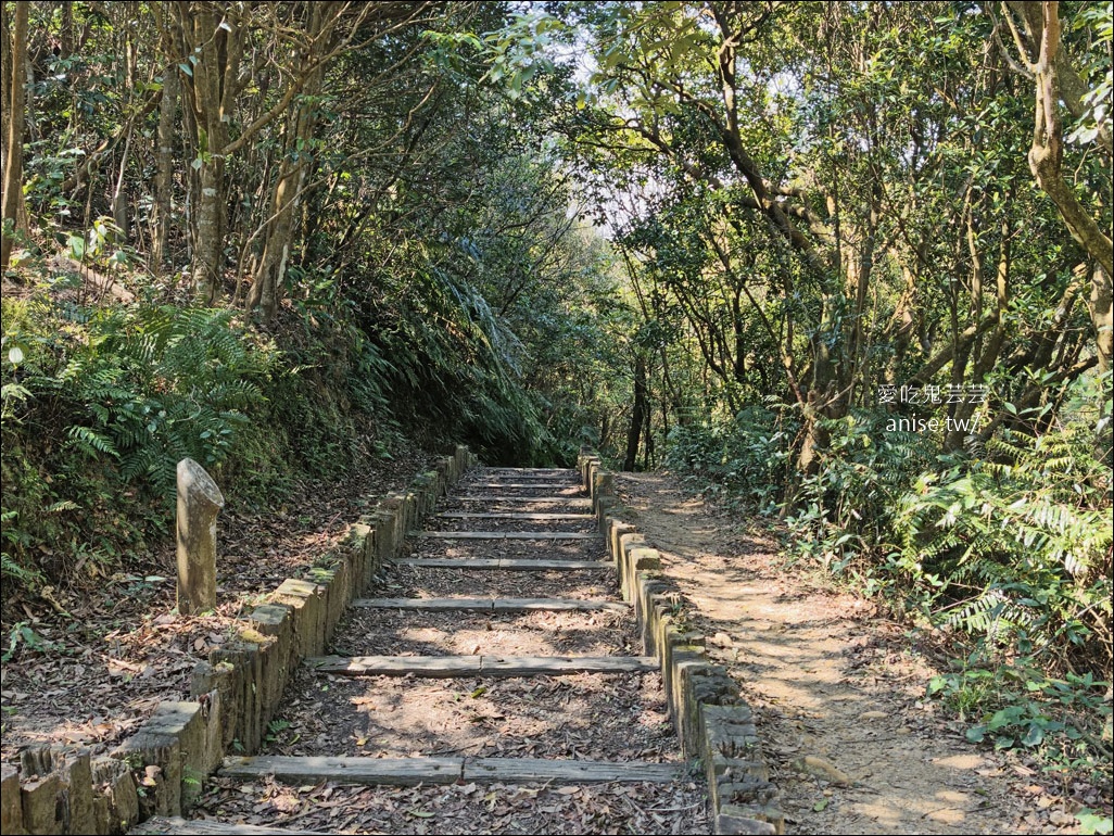 台北小溪頭 | 大崙頭山森林步道、大崙頭尾山親山步道、乘風堡觀景台 @愛吃鬼芸芸