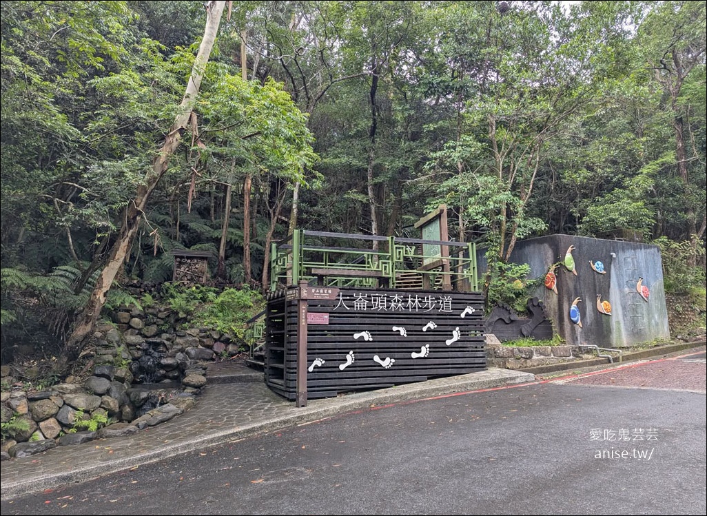 台北小溪頭 | 大崙頭山森林步道、大崙頭尾山親山步道、乘風堡觀景台