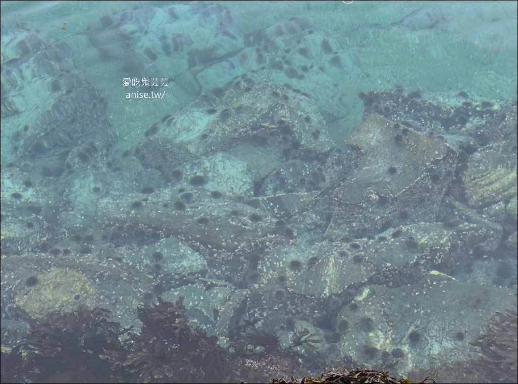 挪威極光行程總整理(特羅姆瑟-羅浮敦群島-奧斯陸) – (上) 特羅姆瑟篇