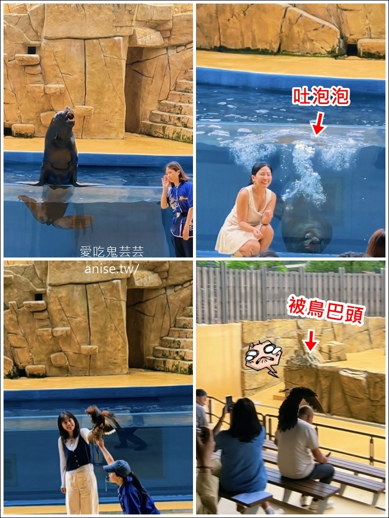 「桃園珍珠海岸」一日遊,桃園遠比你想像的還好玩! @愛吃鬼芸芸 「桃園珍珠海岸」一日遊,桃園遠比你想像的還好玩! @愛吃鬼芸芸