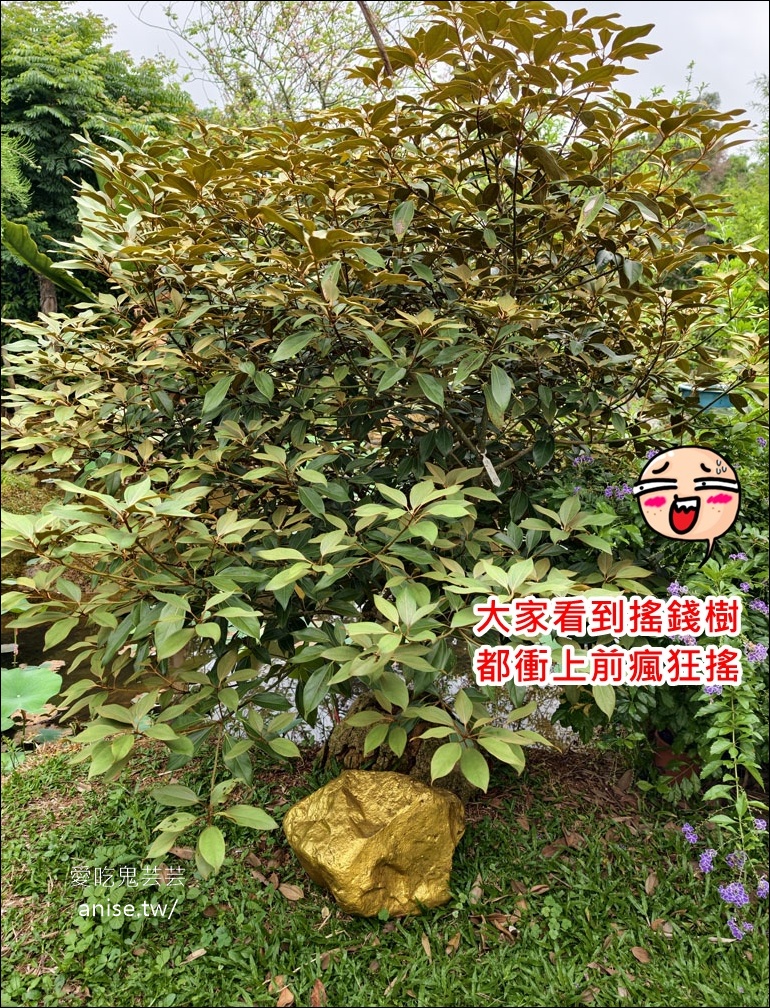「桃園珍珠海岸」一日遊,桃園遠比你想像的還好玩! @愛吃鬼芸芸 「桃園珍珠海岸」一日遊,桃園遠比你想像的還好玩! @愛吃鬼芸芸