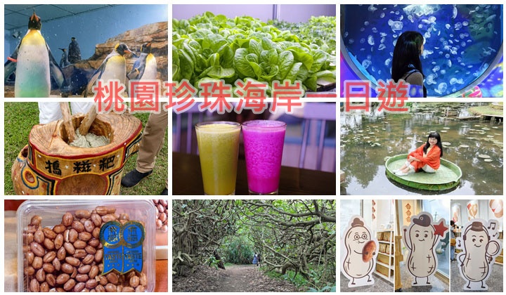 永吉路30巷美食～阿瑋紅燒排骨/排骨酥、巧味小舖 @愛吃鬼芸芸