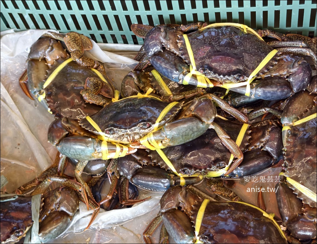 海園活海鮮餐廳，東北角超好吃的海鮮餐廳，炒龍膽石斑、炒黑飯必點 @愛吃鬼芸芸