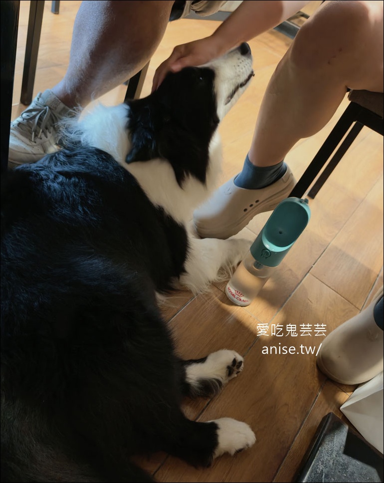 小六食堂 | 2026父親節大餐前奏，海膽、黑鮪魚大餐，超新鮮好吃又划算！(寵物友善) @愛吃鬼芸芸