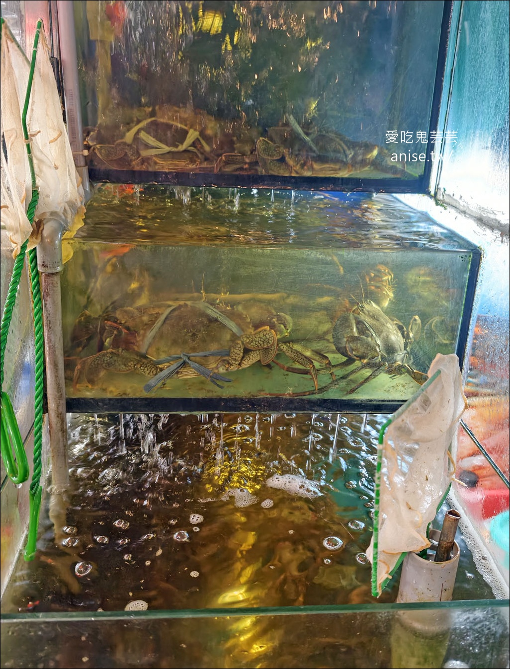 再訪日海海鮮店，這回是吃單點，更合口味更好吃！ @愛吃鬼芸芸