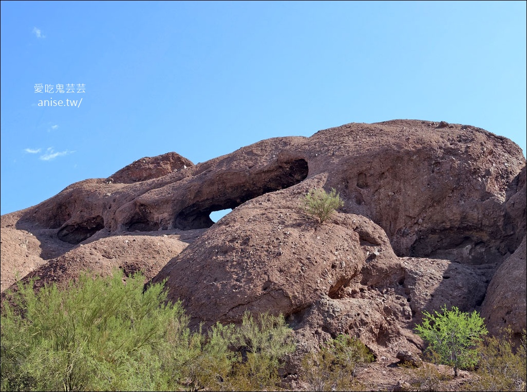 亞利桑那景點 | 帕帕戈公園（Papago Park）之岩中洞、 沙漠植物園 (Desert Botanical Garden) @愛吃鬼芸芸