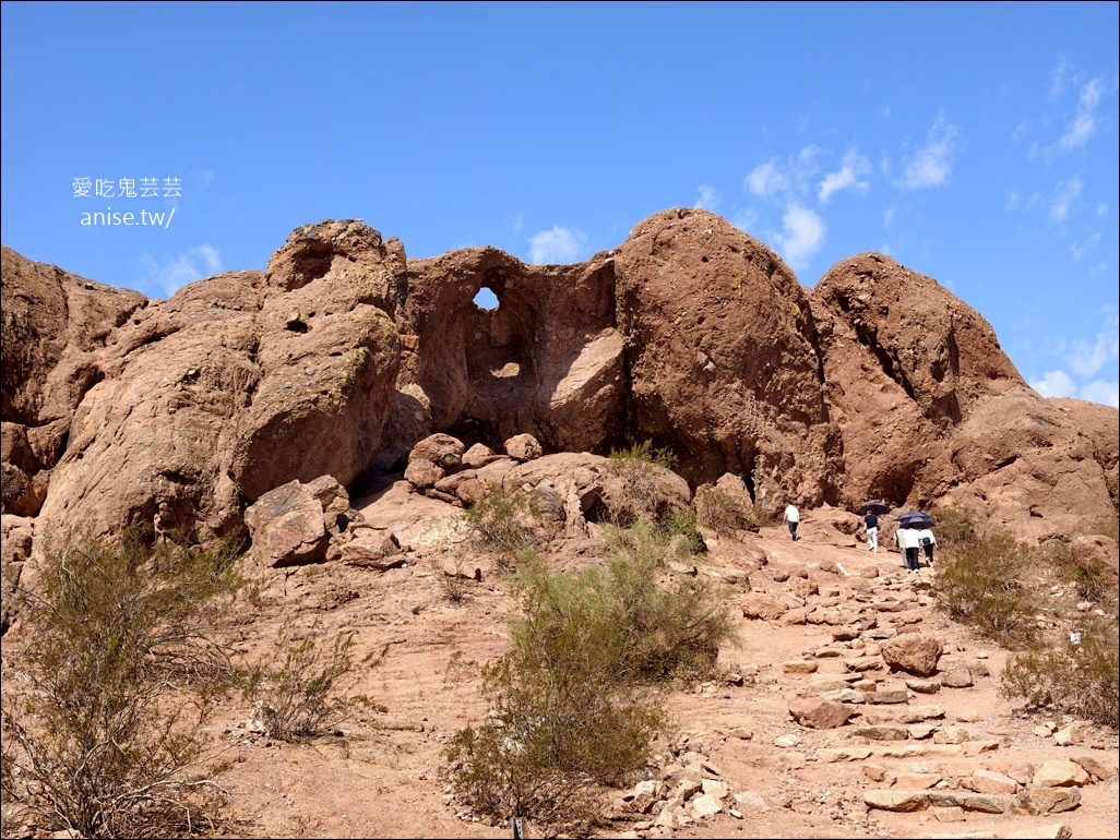 亞利桑那景點 | 帕帕戈公園（Papago Park）之岩中洞、 沙漠植物園 (Desert Botanical Garden) @愛吃鬼芸芸