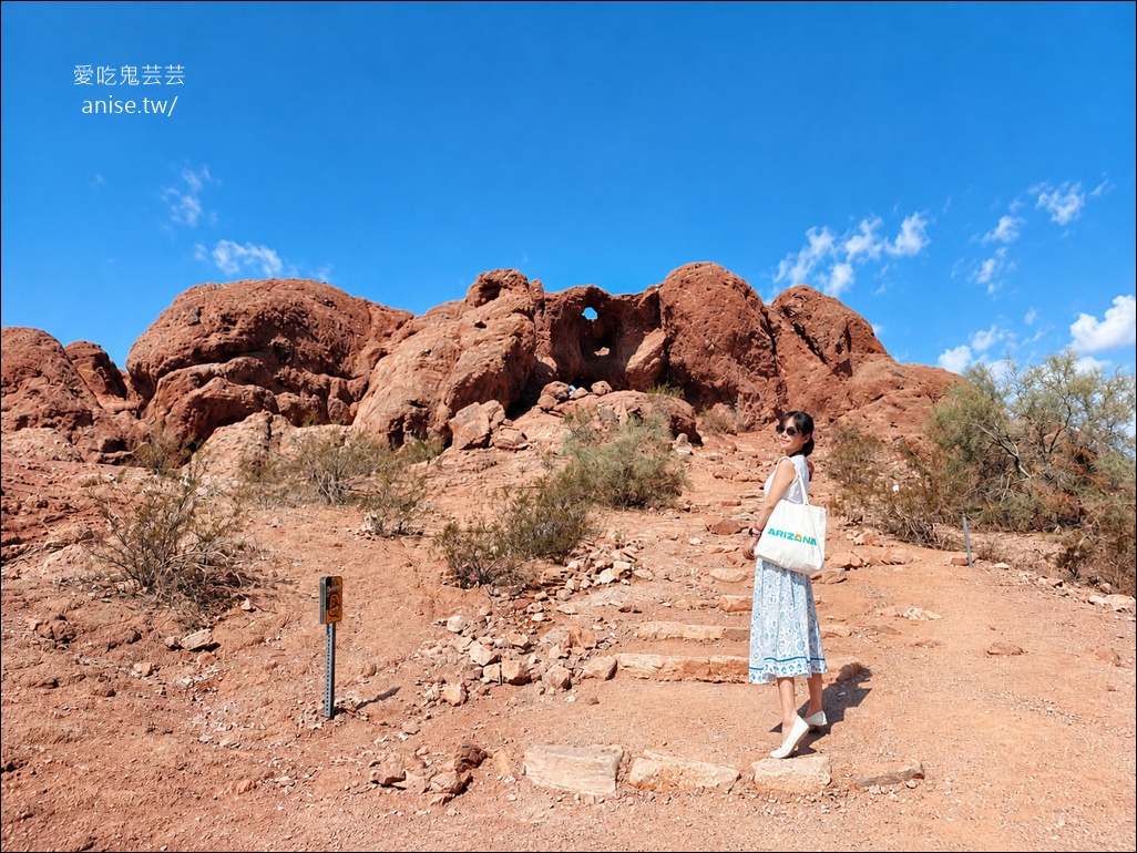 亞利桑那景點 | 帕帕戈公園（Papago Park）之岩中洞、 沙漠植物園 (Desert Botanical Garden) @愛吃鬼芸芸