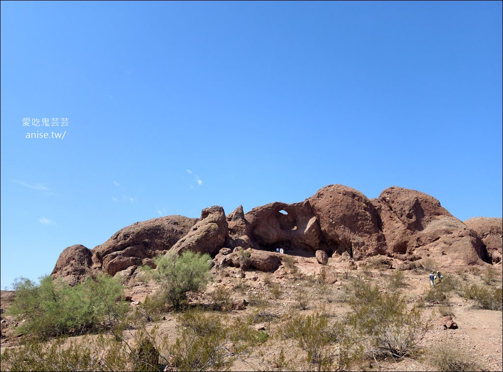 亞利桑那景點 | 帕帕戈公園（Papago Park）之岩中洞、 沙漠植物園 (Desert Botanical Garden) @愛吃鬼芸芸