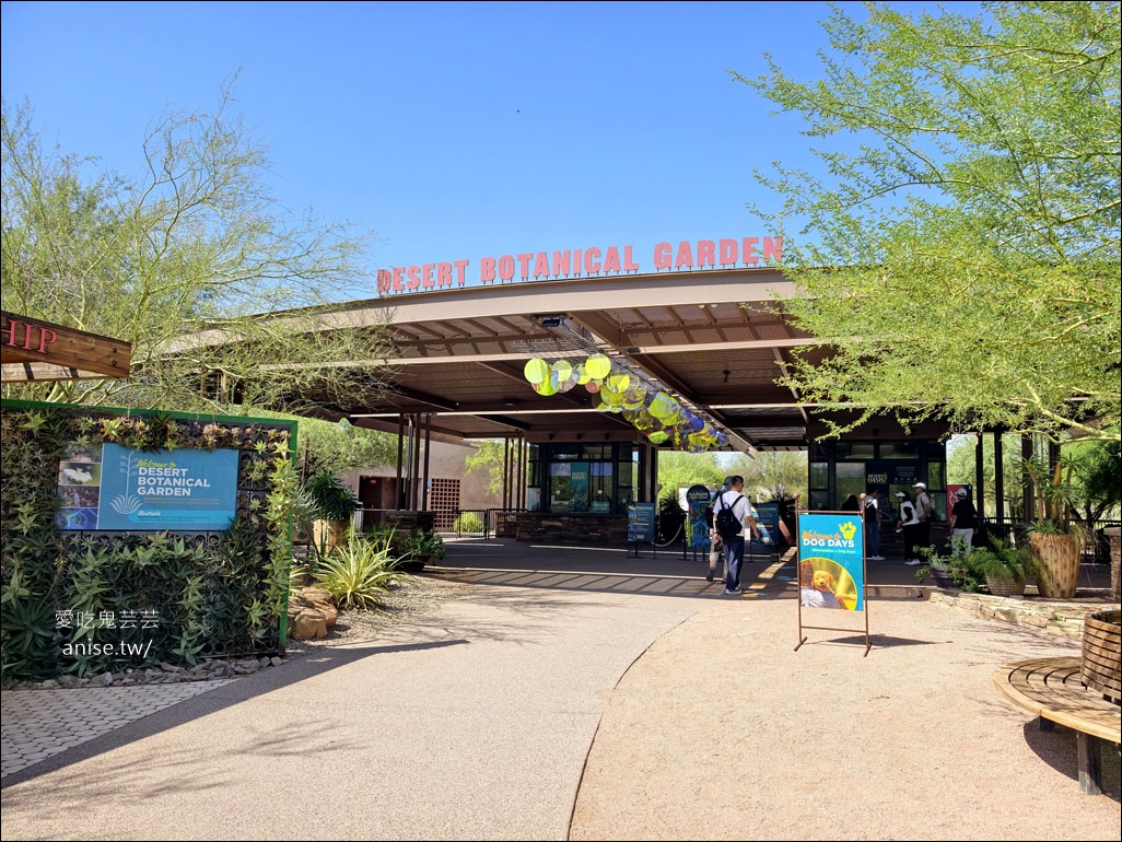 亞利桑那景點 | 帕帕戈公園（Papago Park）之岩中洞、 沙漠植物園 (Desert Botanical Garden) @愛吃鬼芸芸