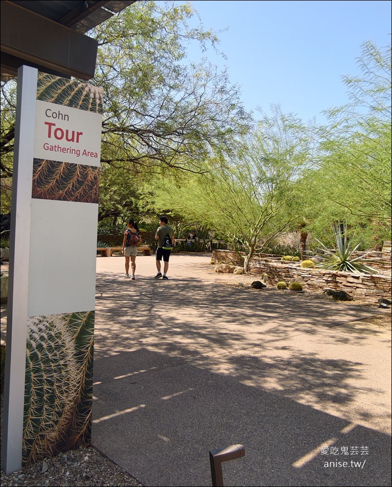 亞利桑那景點 | 帕帕戈公園（Papago Park）之岩中洞、 沙漠植物園 (Desert Botanical Garden) @愛吃鬼芸芸