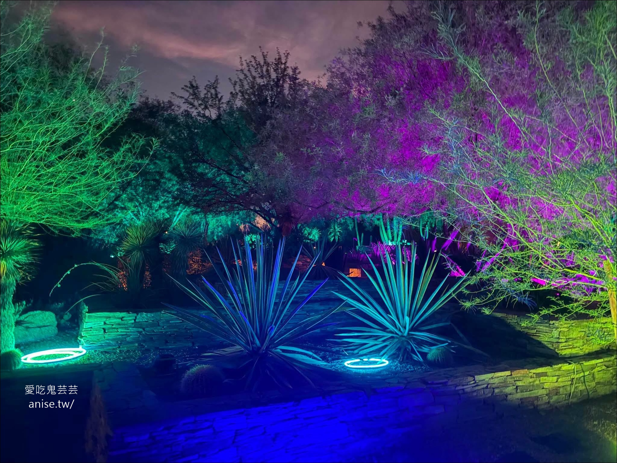 亞利桑那景點 | 帕帕戈公園（Papago Park）之岩中洞、 沙漠植物園 (Desert Botanical Garden) @愛吃鬼芸芸