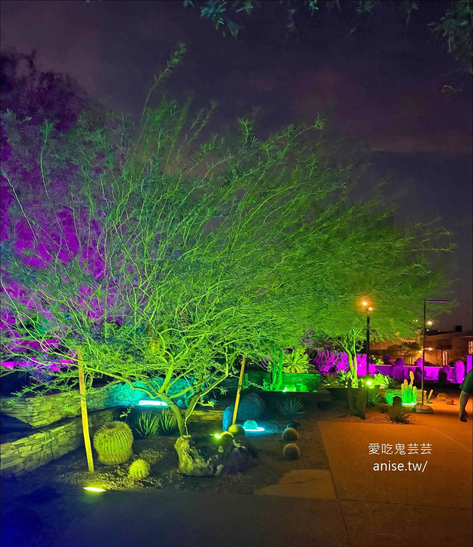亞利桑那景點 | 帕帕戈公園（Papago Park）之岩中洞、 沙漠植物園 (Desert Botanical Garden) @愛吃鬼芸芸