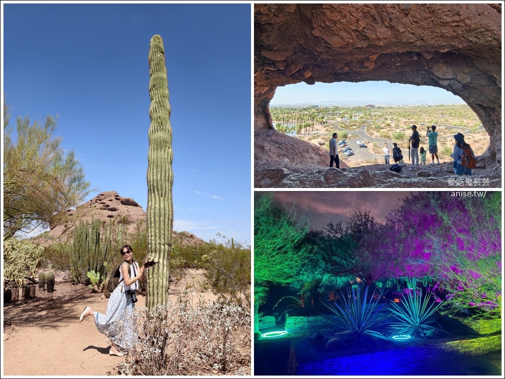 亞利桑那景點 | 帕帕戈公園（Papago Park）之岩中洞、 沙漠植物園 (Desert Botanical Garden) @愛吃鬼芸芸