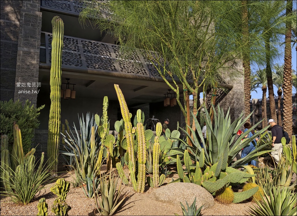 鳳凰城住宿推薦 | Grand Hyatt Scottsdale Resort，沙漠裡的奢華度假村 @愛吃鬼芸芸