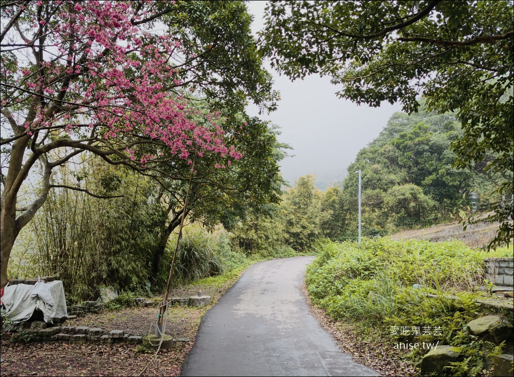 觀音山步道 | 楓櫃斗湖登山步道+硬漢嶺步道 @愛吃鬼芸芸