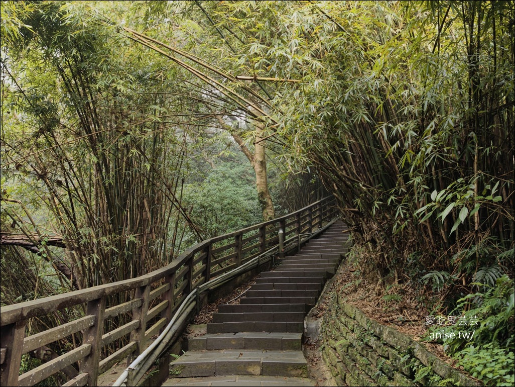觀音山步道 | 楓櫃斗湖登山步道+硬漢嶺步道 @愛吃鬼芸芸