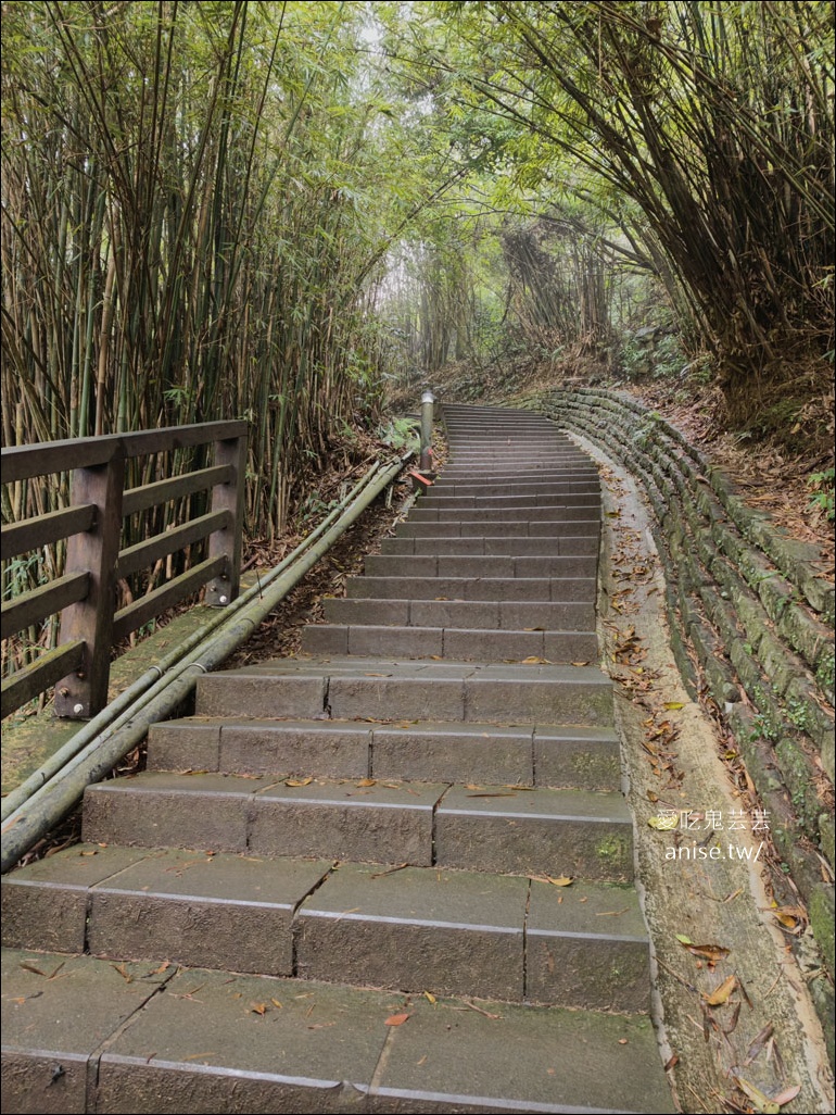 觀音山步道 | 楓櫃斗湖登山步道+硬漢嶺步道 @愛吃鬼芸芸