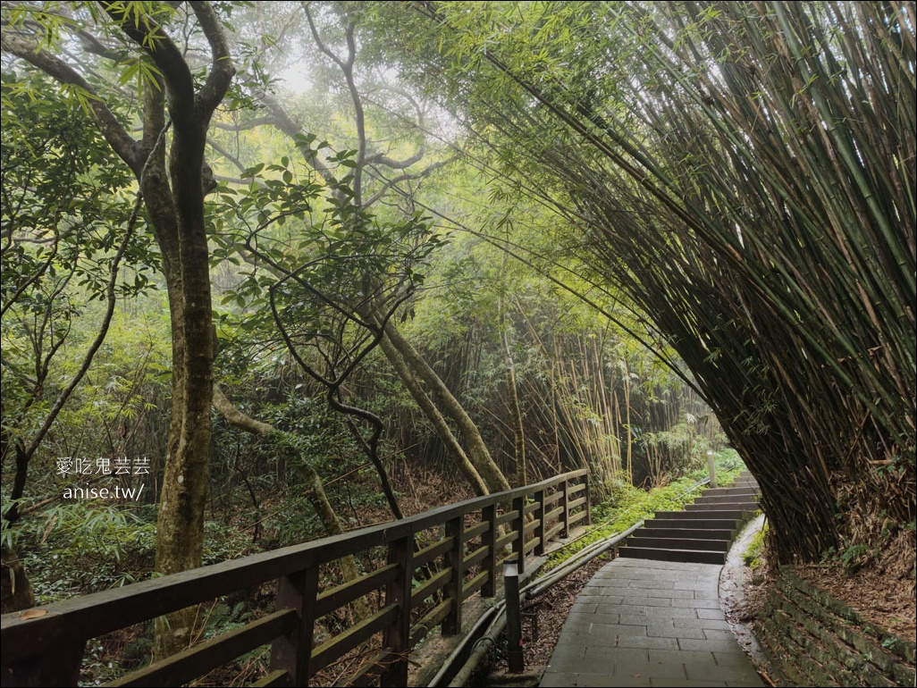 觀音山步道 | 楓櫃斗湖登山步道+硬漢嶺步道 @愛吃鬼芸芸