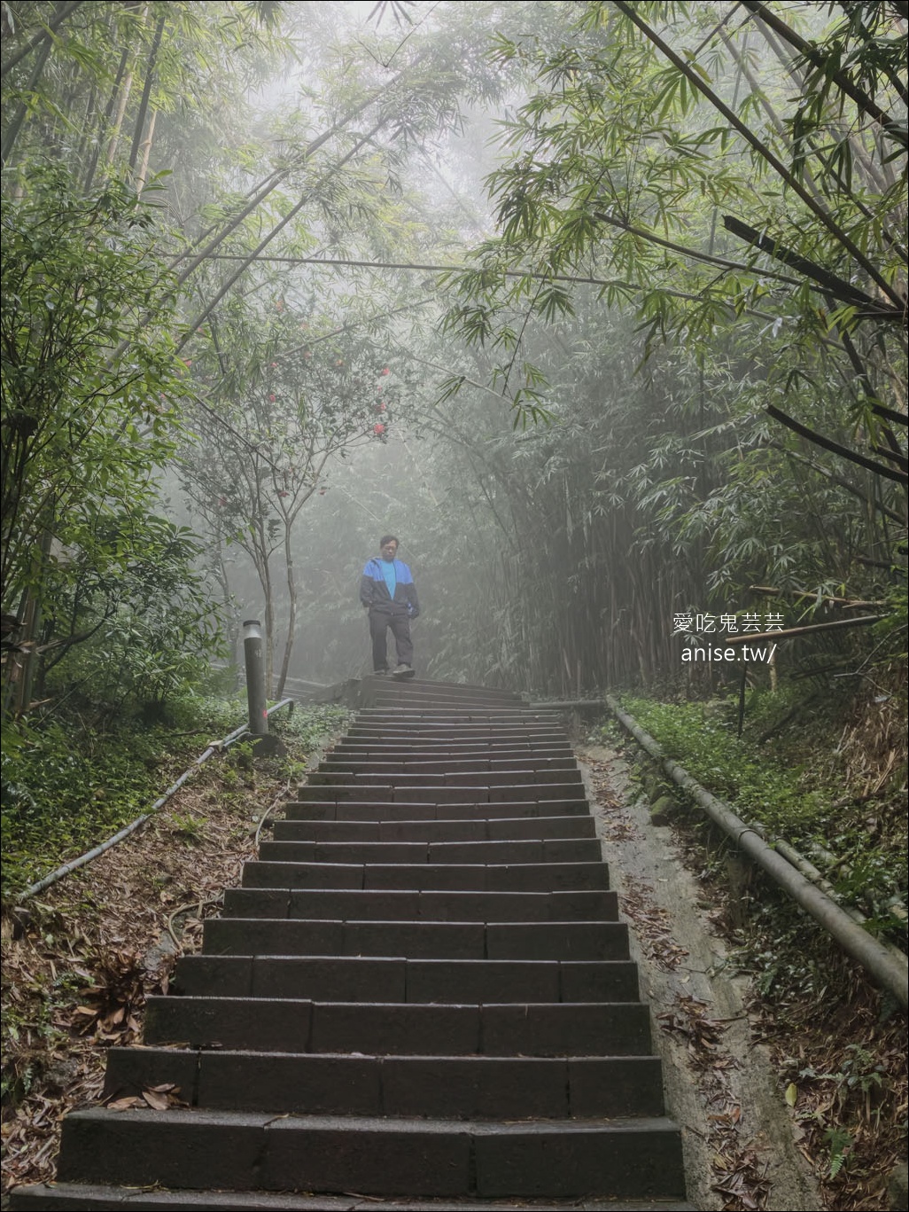 觀音山步道 | 楓櫃斗湖登山步道+硬漢嶺步道 @愛吃鬼芸芸
