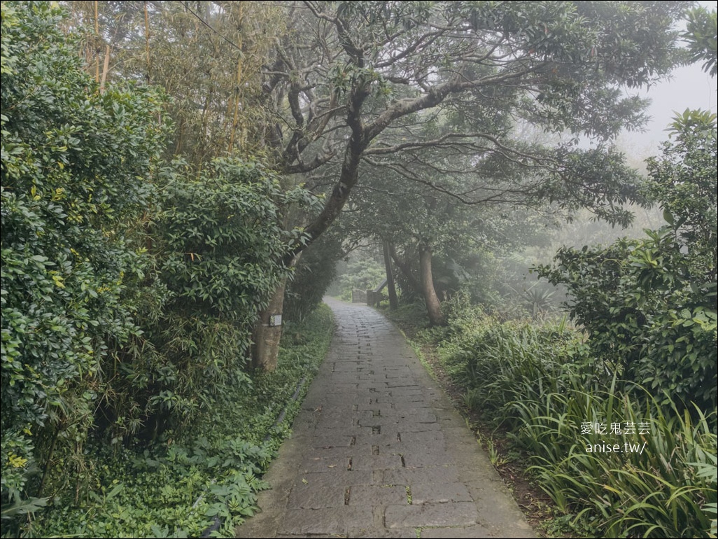 觀音山步道 | 楓櫃斗湖登山步道+硬漢嶺步道 @愛吃鬼芸芸