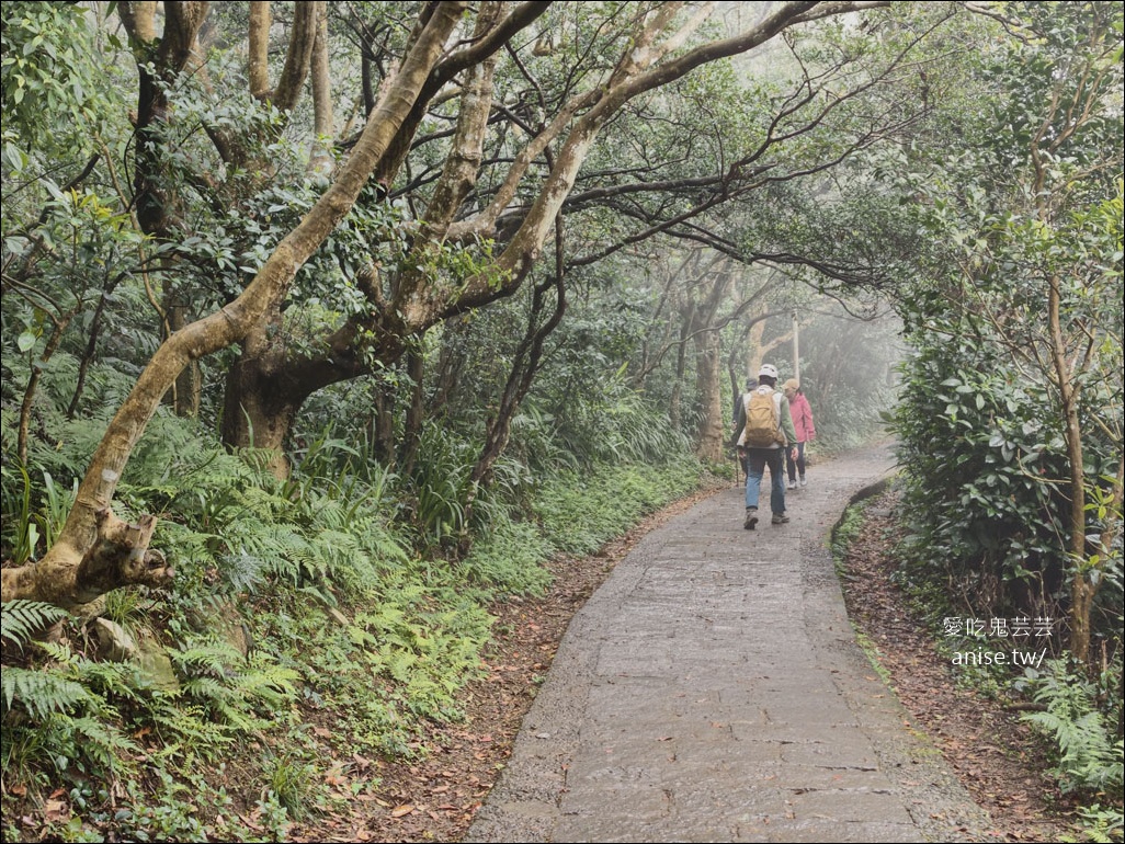 觀音山步道 | 楓櫃斗湖登山步道+硬漢嶺步道 @愛吃鬼芸芸