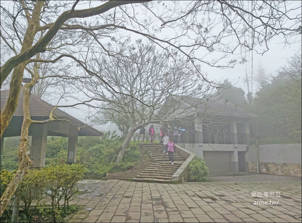 觀音山步道 | 楓櫃斗湖登山步道+硬漢嶺步道 @愛吃鬼芸芸