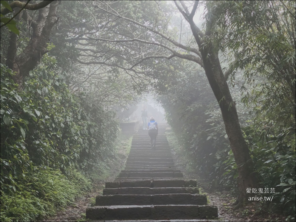 觀音山步道 | 楓櫃斗湖登山步道+硬漢嶺步道 @愛吃鬼芸芸