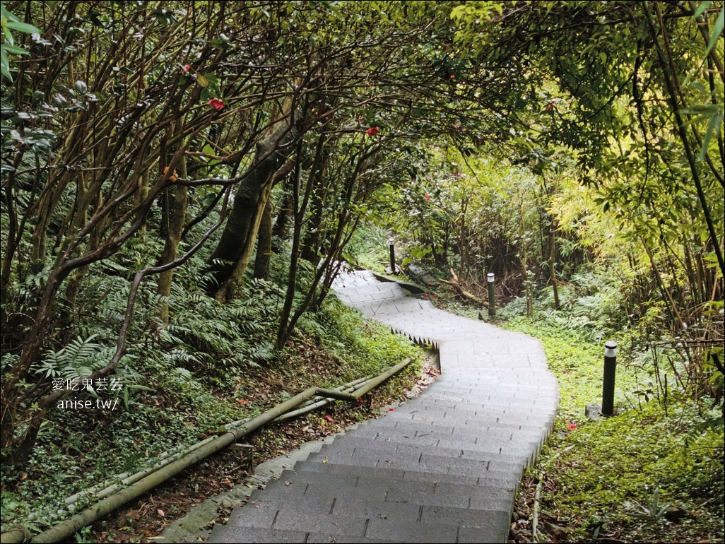 觀音山步道 | 楓櫃斗湖登山步道+硬漢嶺步道 @愛吃鬼芸芸