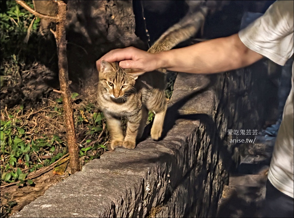 觀音山步道 | 楓櫃斗湖登山步道+硬漢嶺步道 @愛吃鬼芸芸