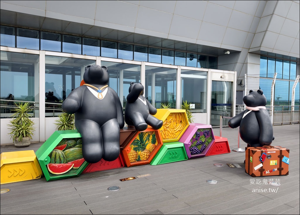 桃園機場觀景台(第二航廈)，免費看飛機起降 (有餐飲、伴手禮和充電區喔) @愛吃鬼芸芸